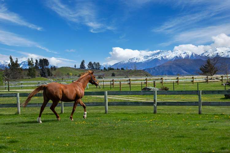 182 Stevenson Road Wanaka_6