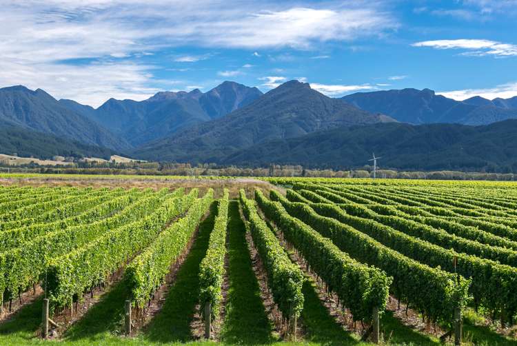 2486 State Highway 63 Wairau Valley_3