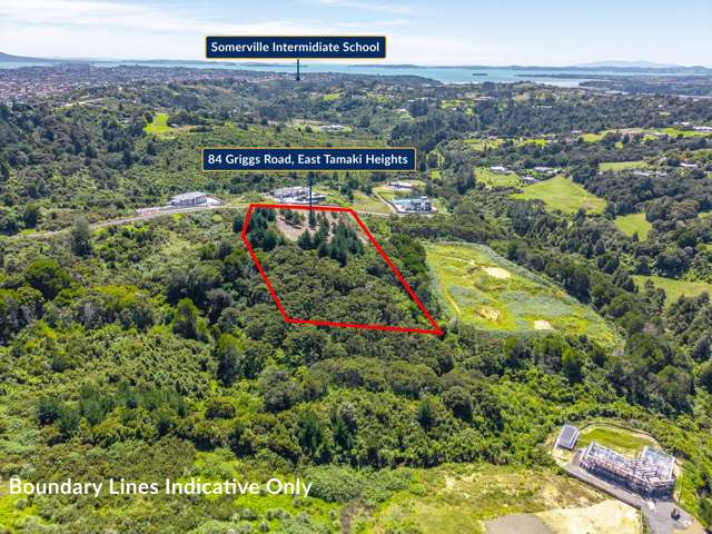 84 Griggs Road Whitford_4