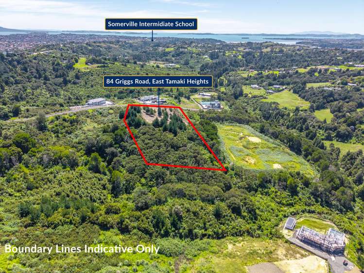 84 Griggs Road Whitford_4