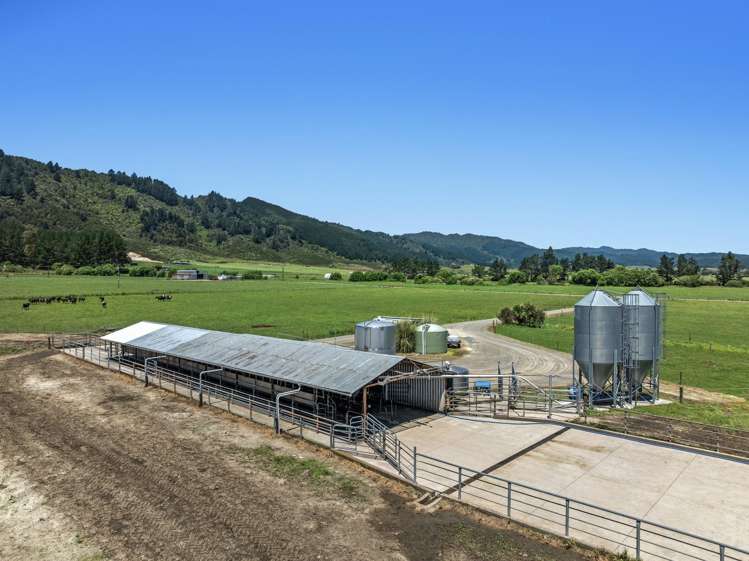 2106 Galatea Road Waiohau_6