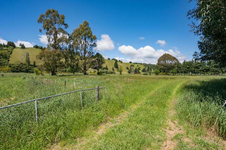 201 Wakefield-Kohatu Highway Wakefield_30