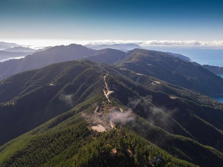 Queen Charlotte Forest, Onapua Bay Marlborough Sounds_10