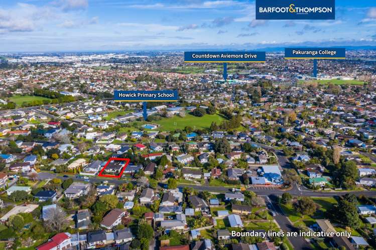 53 Finnerty Avenue Howick_2