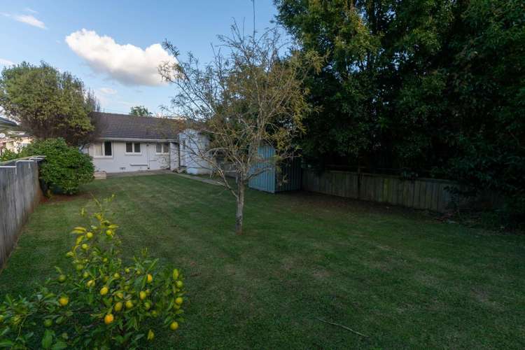 18A Fickling Avenue 10044_9