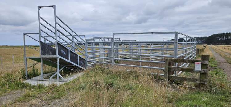 265 Paranui Road Foxton_11