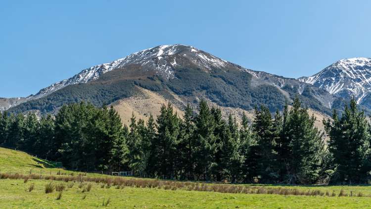 202 Mount Lyford Forest Drive Lyford_15