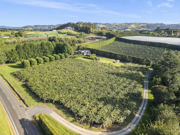 50 Emeny Road Whakamarama_30