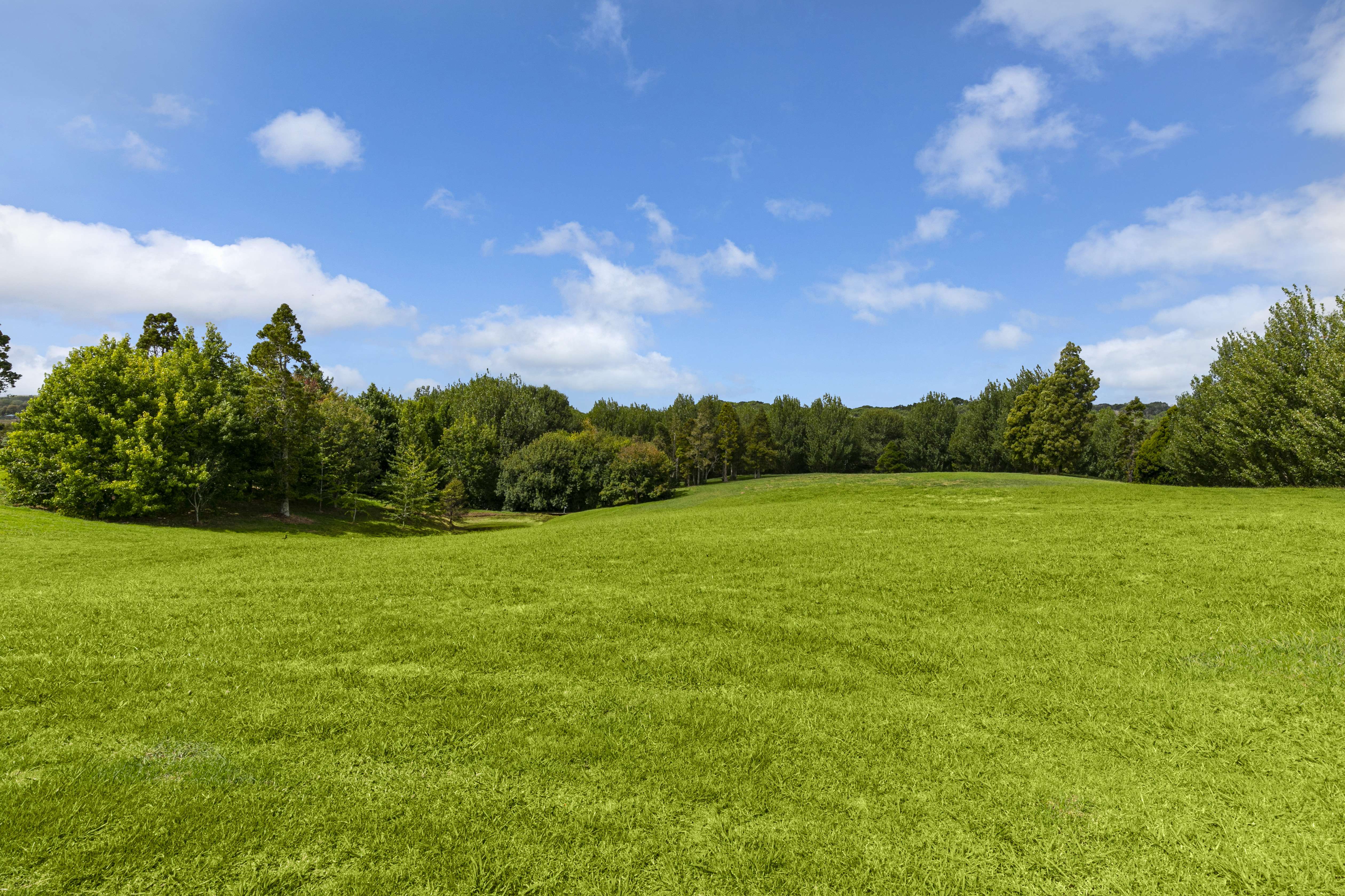 109 Blackbridge Road Dairy Flat Rodney Rural Property For Sale