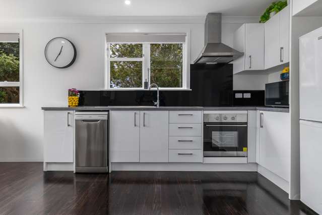 20 Mahinawa Street Takapuwahia_1