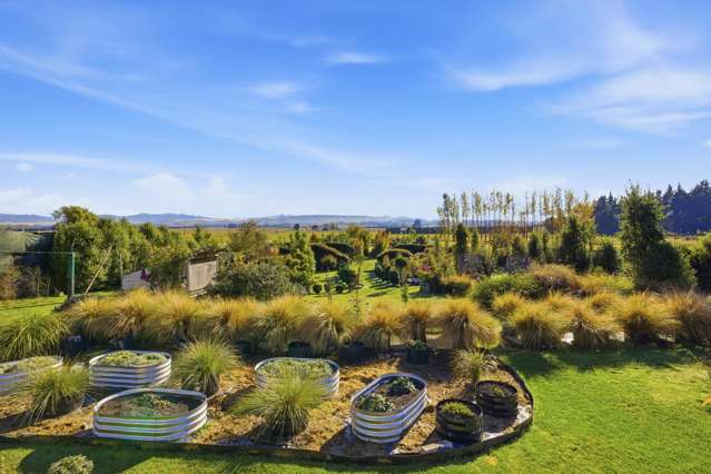 38 Princes Street Waikari_2