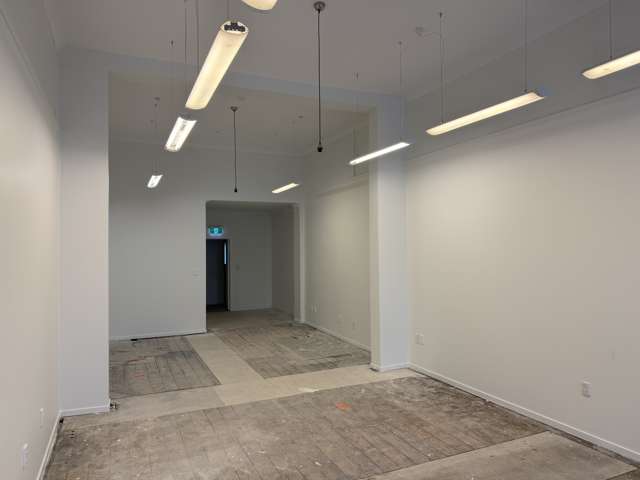 378 George Street Dunedin Central_3