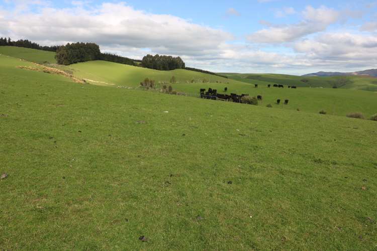 348 Keppoch Road West Otago Surrounds_23