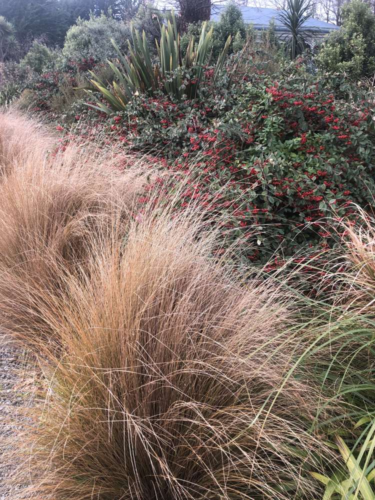 11 Meadow Street Lumsden_9