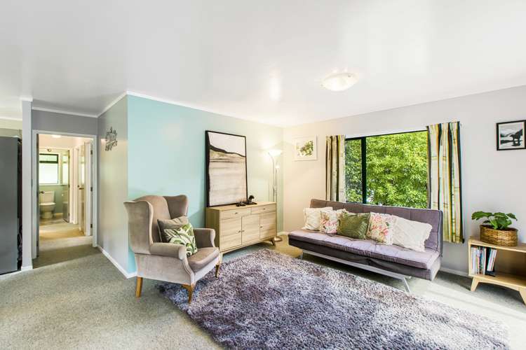 198 Mountain Road Henderson Valley_11