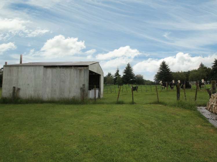 236 Palmer Mill Road Wairakei and Surrounds_4