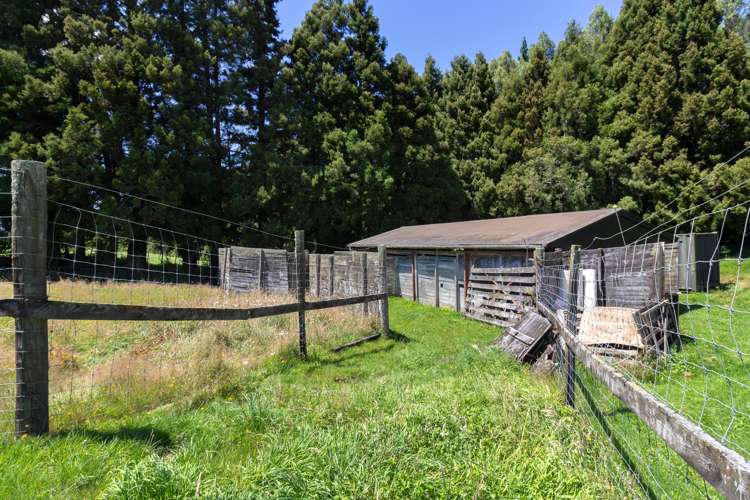 195 Jackson Road Hamurana_31