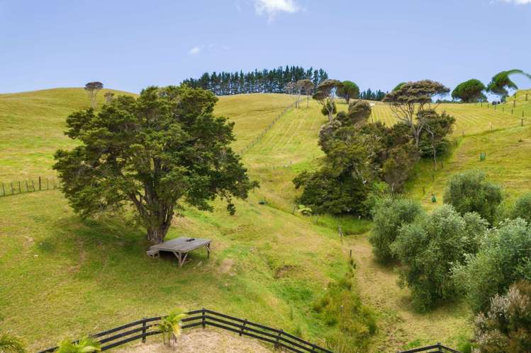 330 Hihi Road Hihi_22