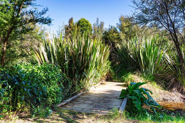 134 Cames Road Mangawhai_4