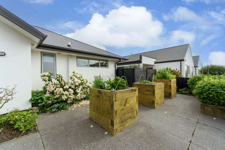 81 Mary Ellen Street Pegasus_19