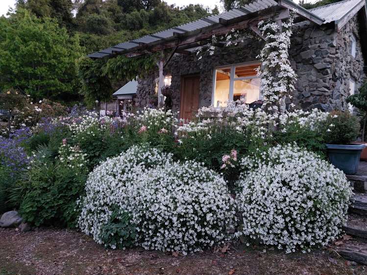 539 Upper Hook Road Hunter_33