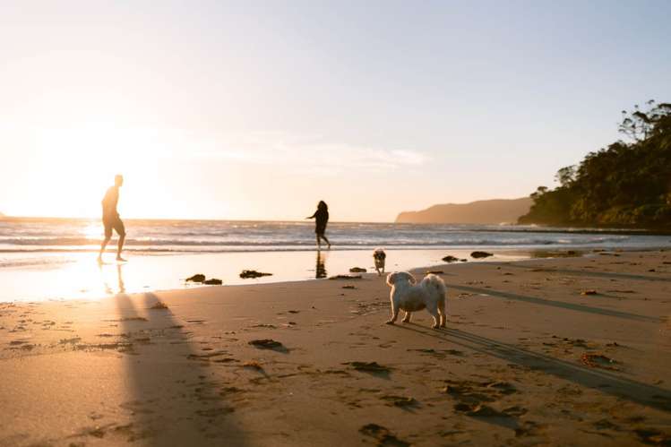 5 Mulberry Grove Road Great Barrier Island_67