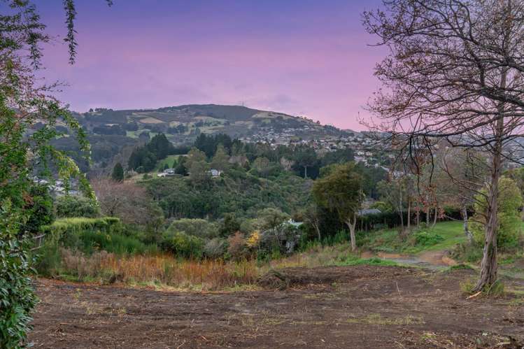 76 Cannington Road Maori Hill_16