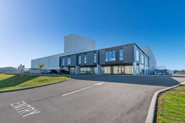 9 Ashford Avenue Ashburton_4