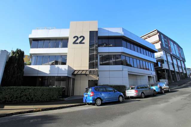 22 Dundonald Street Eden Terrace_1