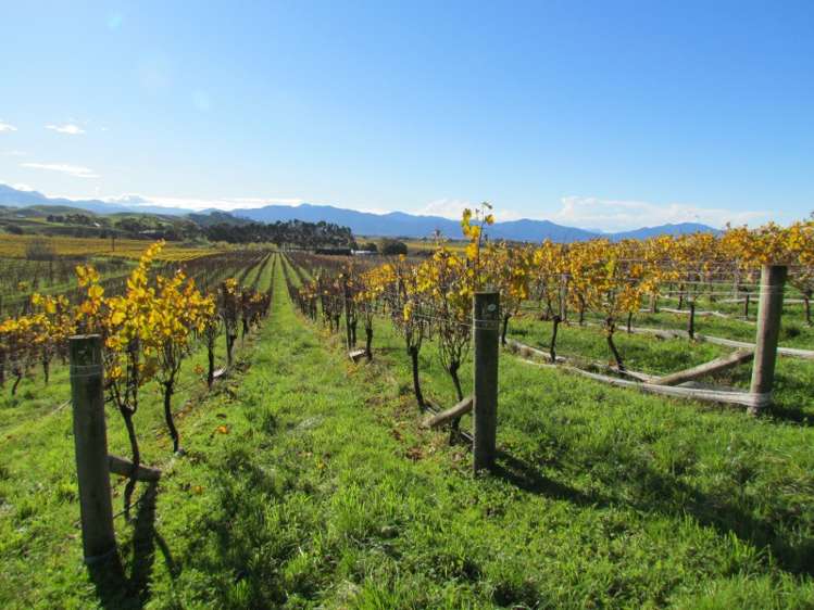 147 Wrekin Road Fairhall_10