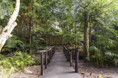 5 Titchener Street_1