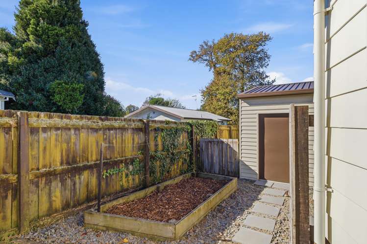 87a Scott Street Cambridge_15