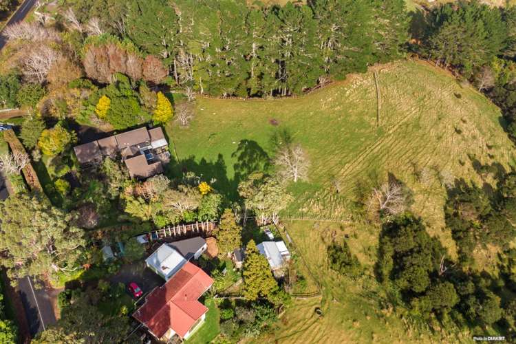 212 Ara-Kotinga Whitford_33