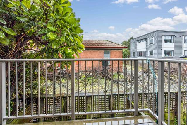 10 Dovedale Place Parnell_3