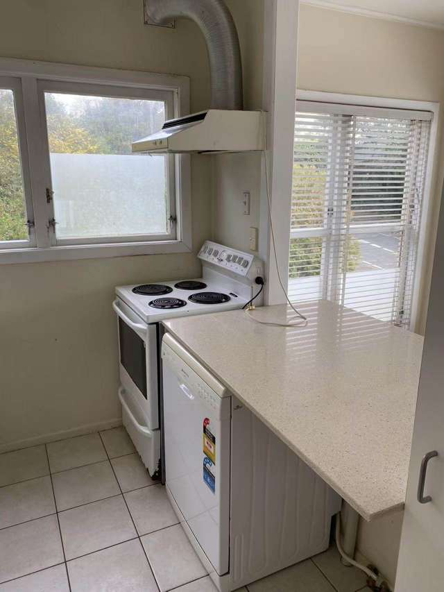 36C Ngapipi Road Orakei_4