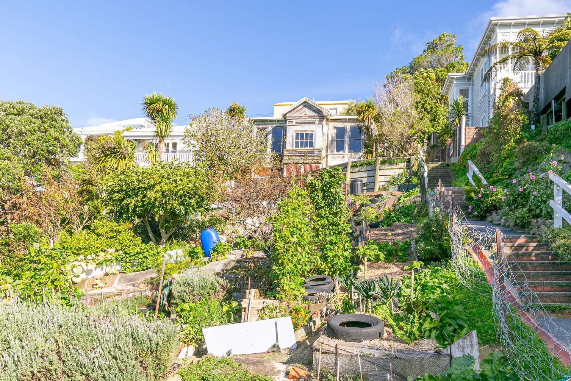 18 Dorking Road Brooklyn_0