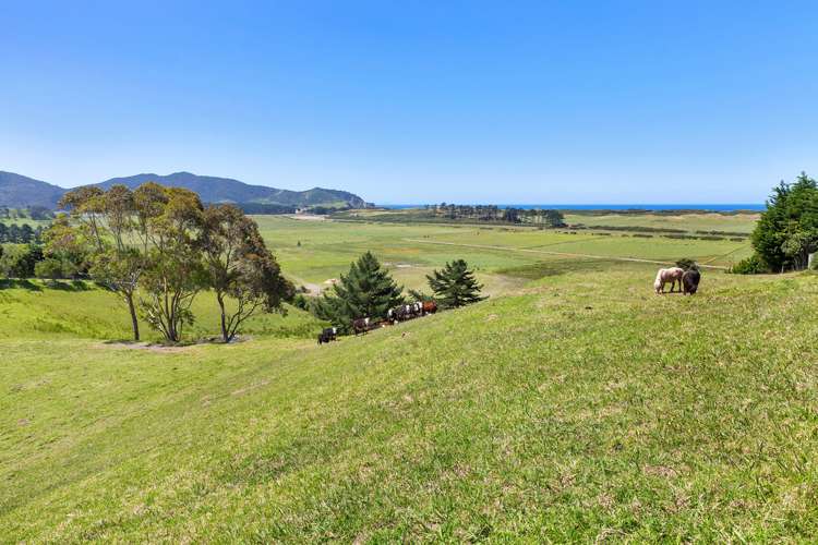 81 Blue Horizon Road Whangarei Heads_0