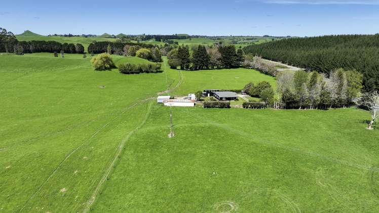 441 State Highway 38 Rerewhakaaitu_19