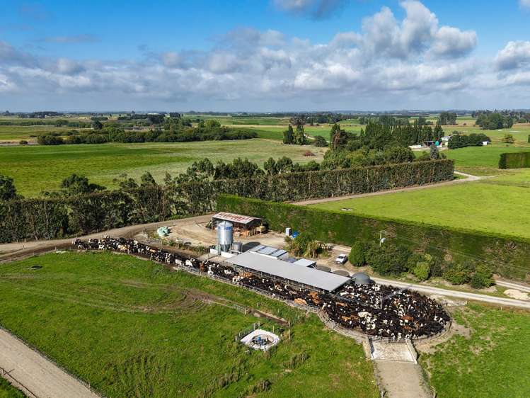 545 Coal Pit Wyndham_20