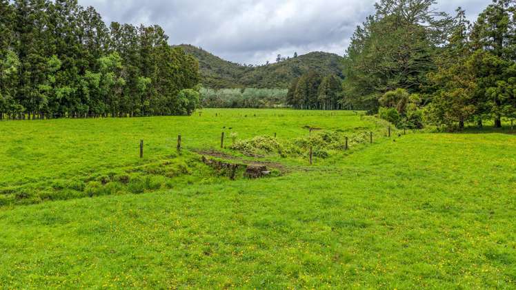 214 Puketui Valley Road Hikuai_9