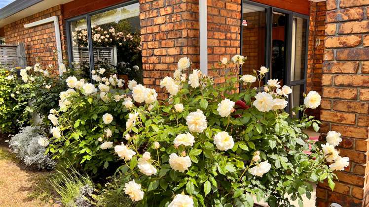 99 Weggery Drive Waikanae Beach_18