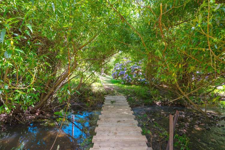 215 Takapu Road Takapu Valley_35