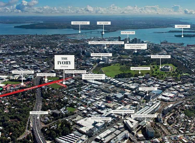 310/10 Lion Place Epsom_10