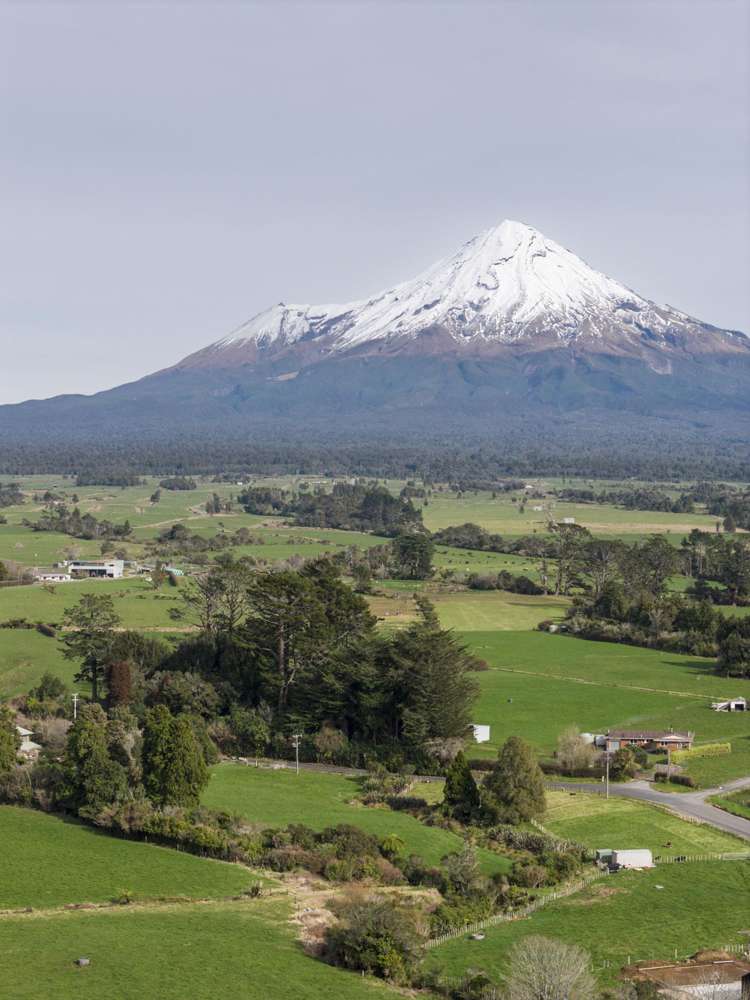 407 Surrey Road Inglewood_5