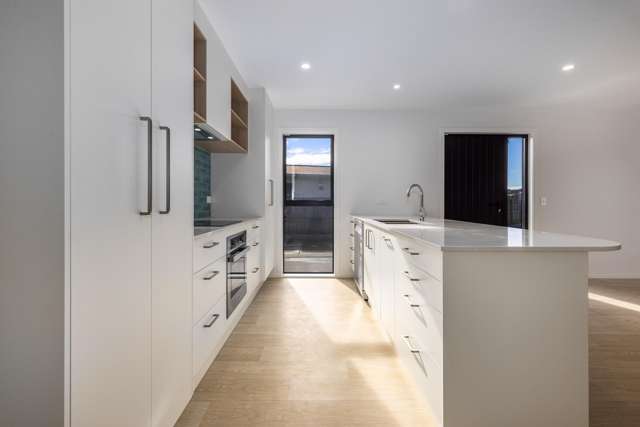 5A Cook Street Levin_2