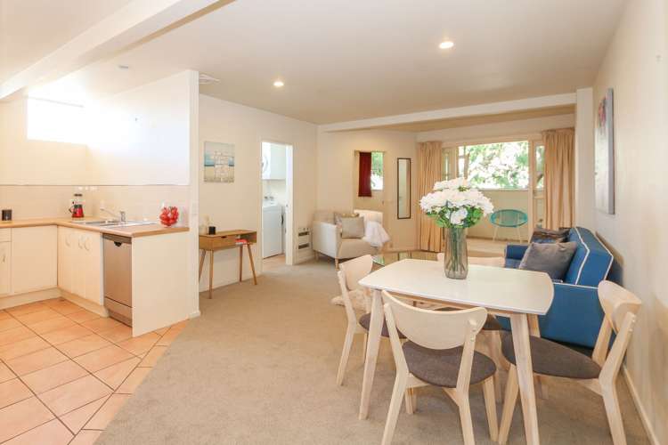 8/33 Hania Street Mount Victoria_1