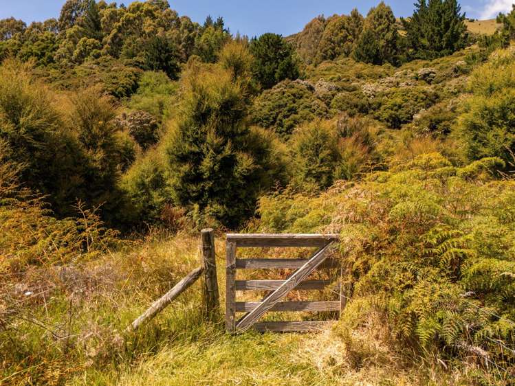 99 Jubilee Road Wainui_10