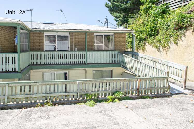 12A/19 William Street Dunedin Central_1