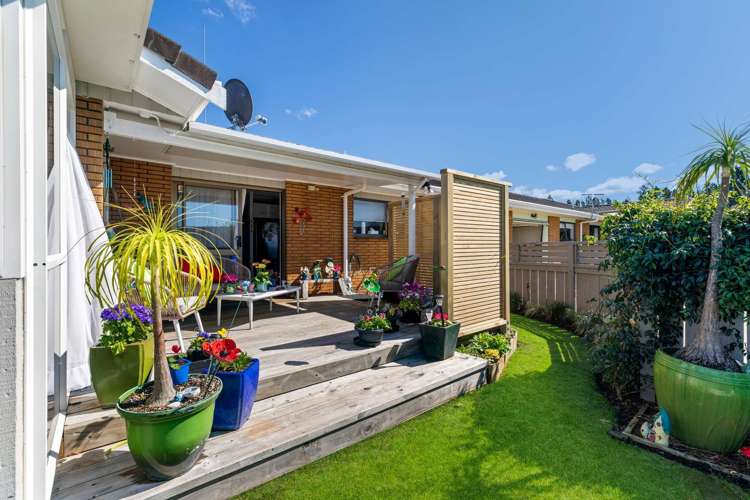 22B Tui Place Katikati_12