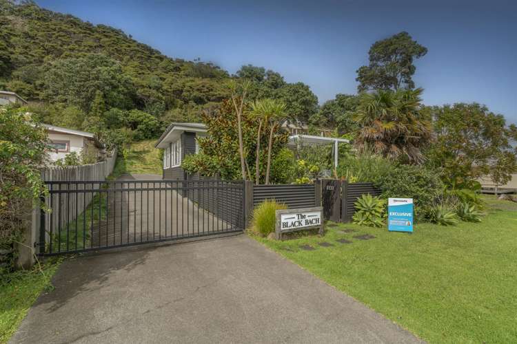 1133 Purangi Road Whitianga_36